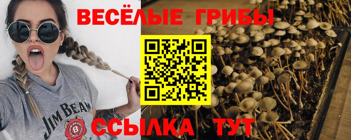 Псилоцибиновые грибы ЛСД  Псилоцибиновые грибы мухоморы  Старая Купавна  Вход с VPN 
