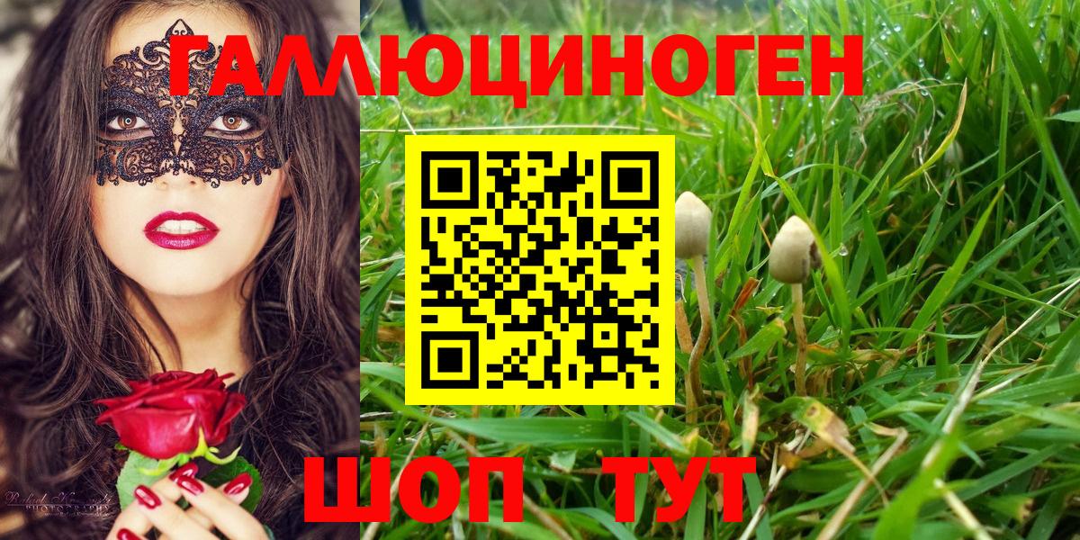 Псилоцибиновые грибы мицелий Старая Купавна